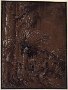 Pejzaż z młynem wodnym autorstwa Albrecht Altdorfer