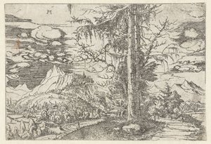Krajobraz z podwójną jodłą autorstwa Albrecht Altdorfer