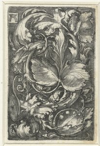 Ornament spotkał się z bladranken autorstwa Albrecht Altdorfer