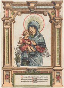 Piękna Dziewica z Ratyzbony autorstwa Albrecht Altdorfer