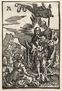 Upadek i odkupienie człowieka: Chrystus ukazujący się św. Marii Magdalenie autorstwa Albrecht Altdorfer