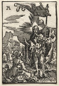 Upadek i odkupienie człowieka: Chrystus ukazujący się św. 1515. autorstwa Albrecht Altdorfer