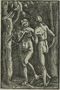 Upadek człowieka, z książki Upadek i odkupienie człowieka autorstwa Albrecht Altdorfer