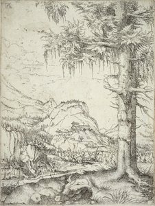Wielki świerk, ok. 1520 autorstwa Albrecht Altdorfer