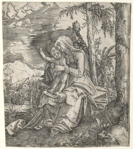 Dziewica w krajobrazie autorstwa Albrecht Altdorfer