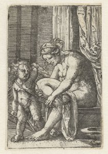 Wenus po kąpieli autorstwa Albrecht Altdorfer