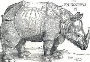 Nosorożec, 1515, 1906 autorstwa Albrecht Dürer