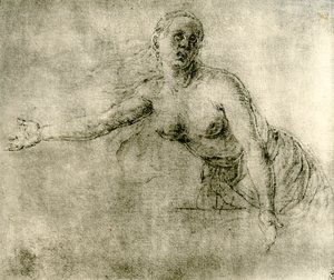 Studium, 1913 autorstwa Albrecht Dürer