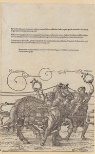  autorstwa Albrecht Dürer
