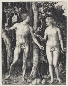 Adam i Ewa autorstwa Albrecht Dürer