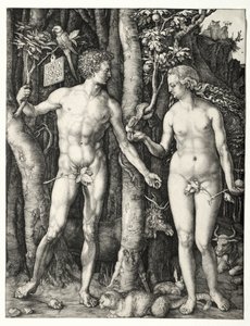 Adam i Ewa autorstwa Albrecht Dürer