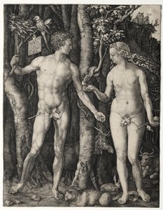 Adam i Ewa autorstwa Albrecht Dürer
