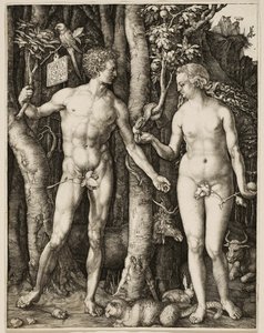 Adam i Ewa autorstwa Albrecht Dürer