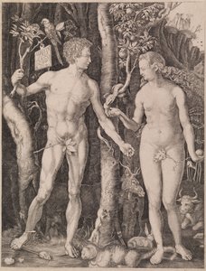 Adam i Ewa autorstwa Albrecht Dürer