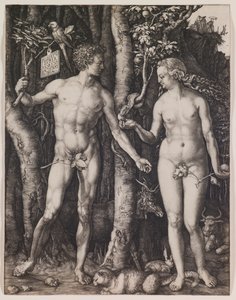  autorstwa Albrecht Dürer