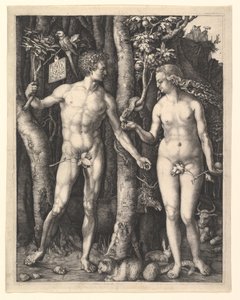  autorstwa Albrecht Dürer