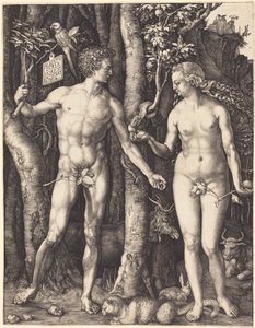  autorstwa Albrecht Dürer