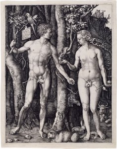  autorstwa Albrecht Dürer