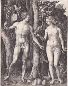  autorstwa Albrecht Dürer