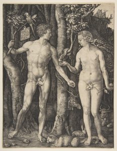 Adam i Ewa autorstwa Albrecht Dürer
