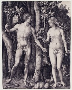  autorstwa Albrecht Dürer