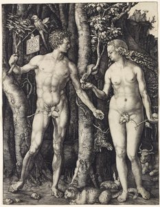 Adam i Ewa autorstwa Albrecht Dürer