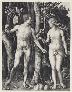 Adam i Ewa autorstwa Albrecht Dürer