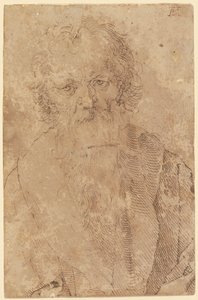 Brodaty stary mężczyzna autorstwa Albrecht Dürer