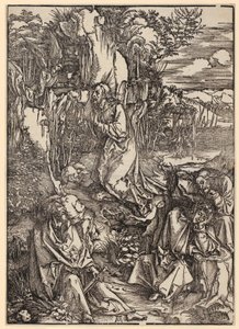  autorstwa Albrecht Dürer