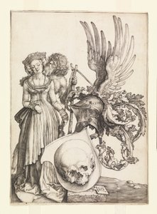 Herb Vanitas autorstwa Albrecht Dürer