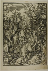 Osadzanie Chrystusa z Wielkiej Męki autorstwa Albrecht Dürer