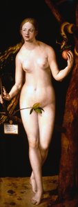 Ewa, 1507 autorstwa Albrecht Dürer