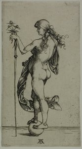 Fortuna autorstwa Albrecht Dürer