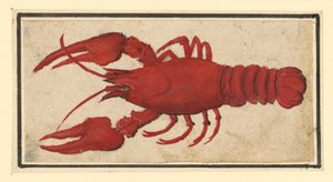  autorstwa Albrecht Dürer