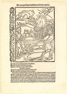 lekceważyć dobrą radę autorstwa Albrecht Dürer
