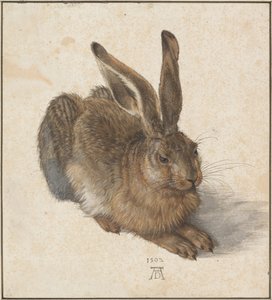 Hase’a, 1502 autorstwa Albrecht Dürer