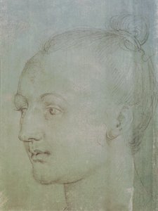 Głowa Młodej Kobiety (czarna kreda podkreślona białą kredą na zielonym papierze) autorstwa Albrecht Dürer