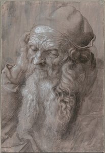 Głowa starego człowieka, 1521 autorstwa Albrecht Dürer