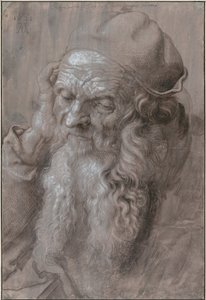 Głowa starego człowieka, 1521 autorstwa Albrecht Dürer