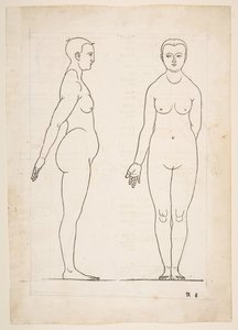 Ilustracja z Czterech ksiąg proporcji ludzkich Dürera, Norymberga, 1528.n.d. autorstwa Albrecht Dürer