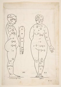 Ilustracja z Czterech ksiąg ludzkich proporcji Dürera, Norymberga, 1528.n.d. autorstwa Albrecht Dürer
