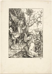 Joachim i Anioł, z Życia Dziewicy autorstwa Albrecht Dürer