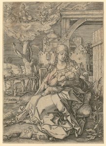 Madonna z Dzieciątkiem autorstwa Albrecht Dürer