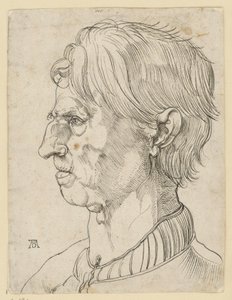 Głowa starszego brodatego mężczyzny, z profilu w lewo autorstwa Albrecht Dürer