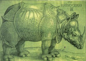 Łac:  Rhinocerus Nosorożec autorstwa Albrecht Dürer
