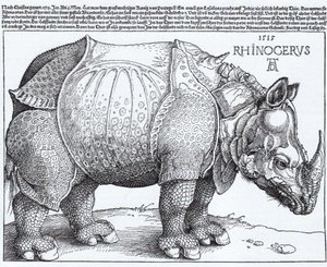 Łac:  Rhinocerus Nosorożec autorstwa Albrecht Dürer