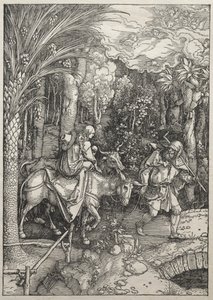 Życie Dziewicy: Ucieczka do Egiptu autorstwa Albrecht Dürer