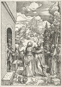 Życie Dziewicy: Nawiedzenie autorstwa Albrecht Dürer