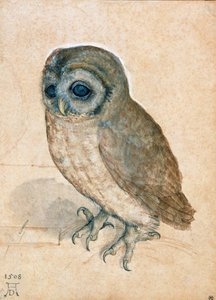 Pójdźka, 1508. autorstwa Albrecht Dürer
