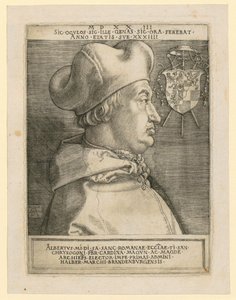 Herb z lwem i kogutem autorstwa Albrecht Dürer